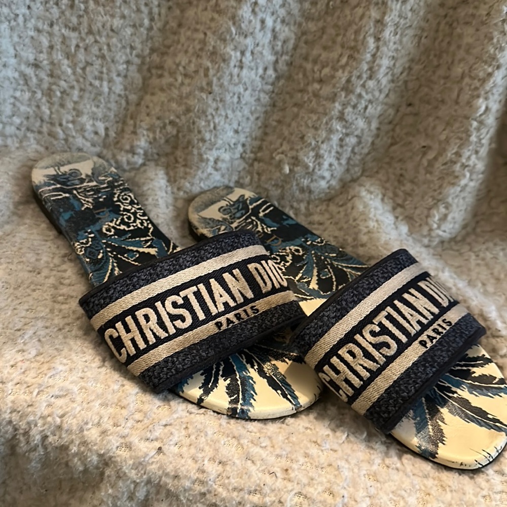 Christian Dior slide